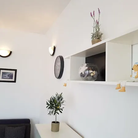 Apartment Mate *